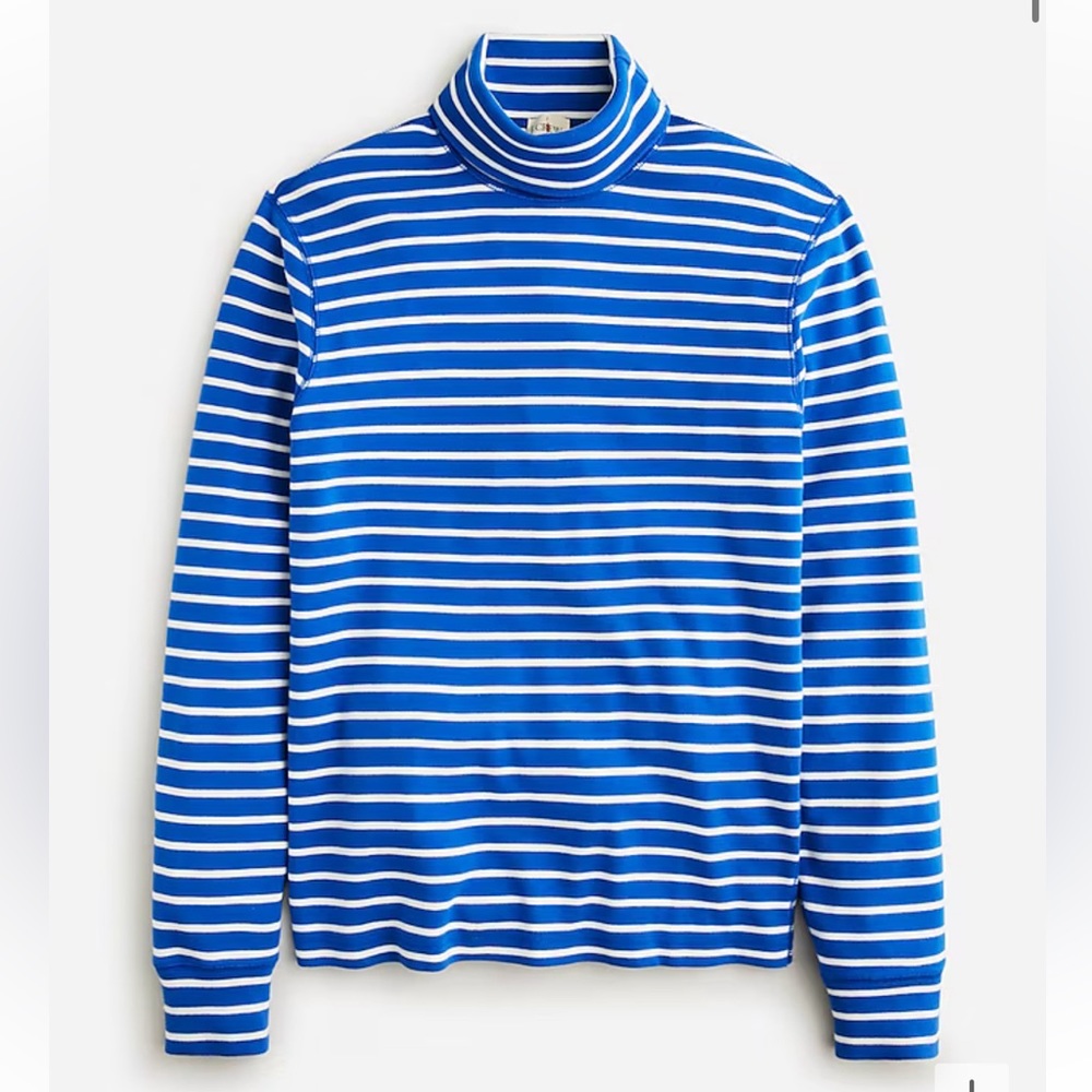 J. Crew Turtleneck